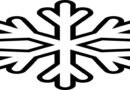 Snowflake Company